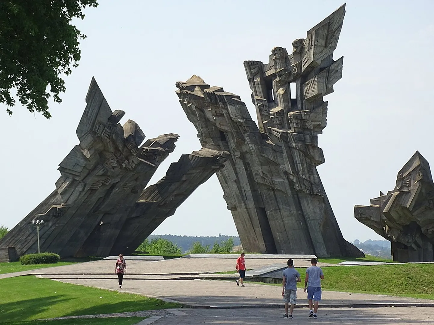 Фото статьи