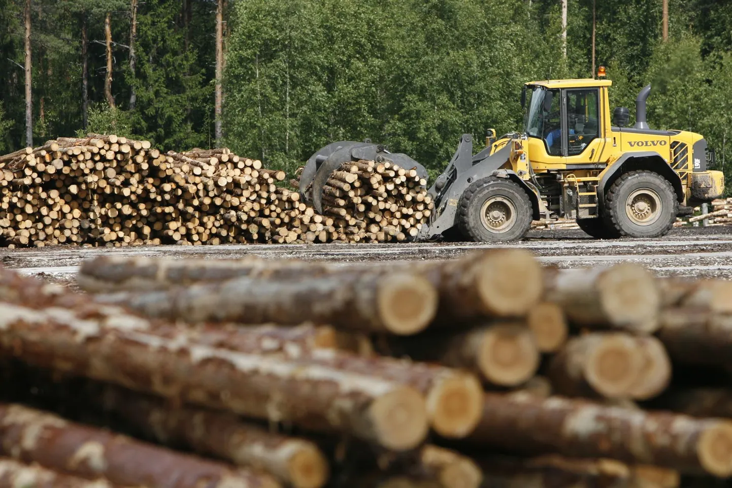 Valdav osa Eestis raiutud puudes salvestunud süsinikust vabaneb atmosfääri juba mõne aasta jooksul ning sellega meie puidukasutus võimendab kliimamuutusi.