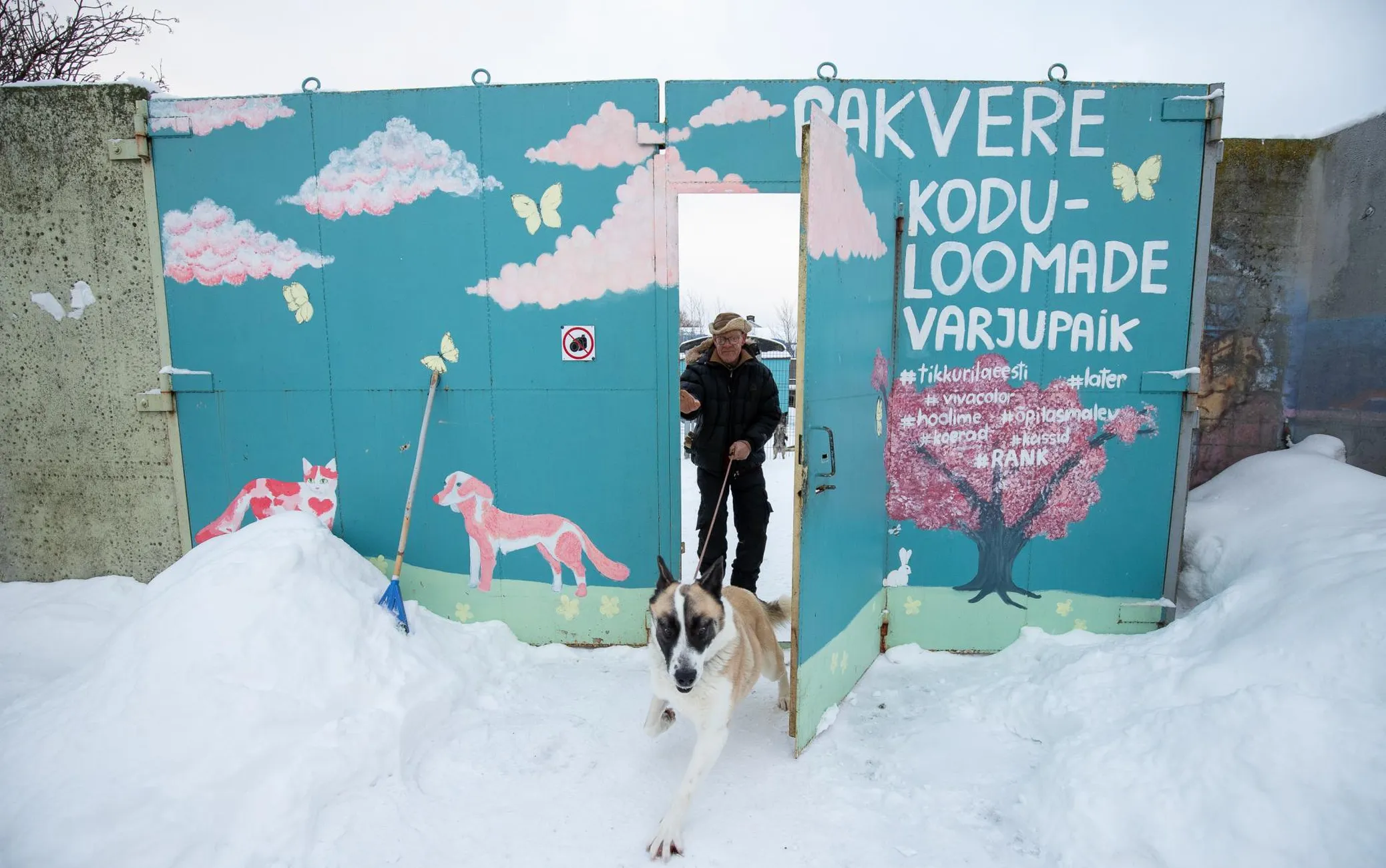 Varjupaika satuvad loomad pigem seetõttu, et omanik ei ole füüsiliselt suuteline looma eest hoolitsema.