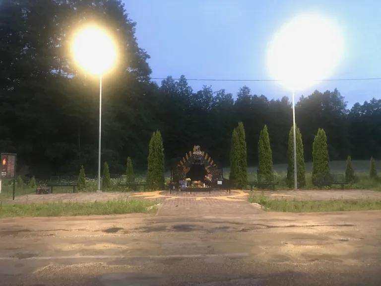 Фото статьи