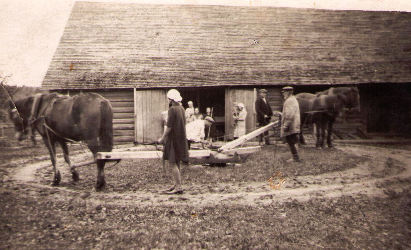 Хронические экономические трудности были неотъемлемой частью жизни эстонских крестьян. На снимке хуторяне обмалывают зерно.