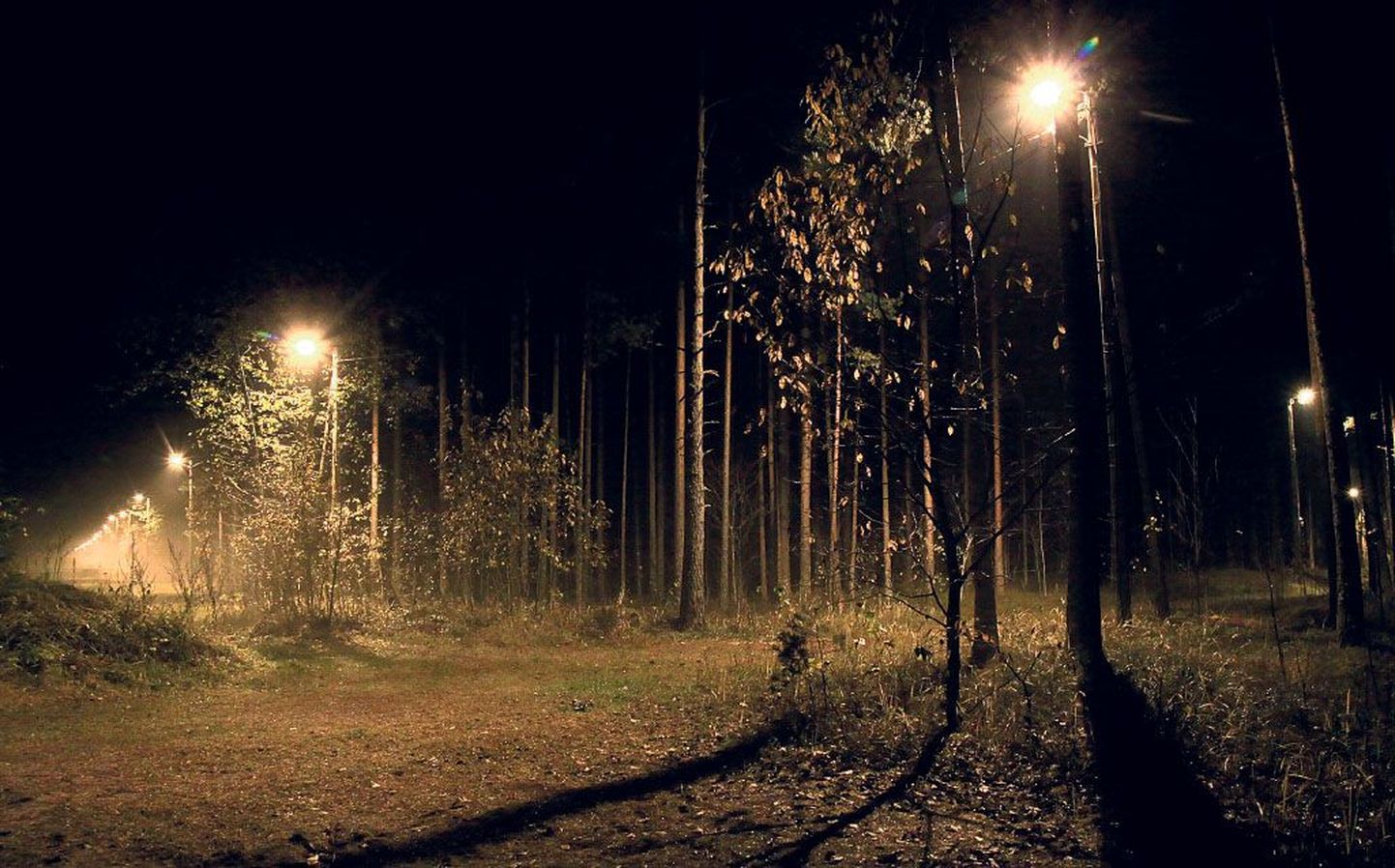 Kui Pärnu linn on pimedusse mattunud, siis Raeküla terviserajal valgustuse arvelt kokku ei hoita.
