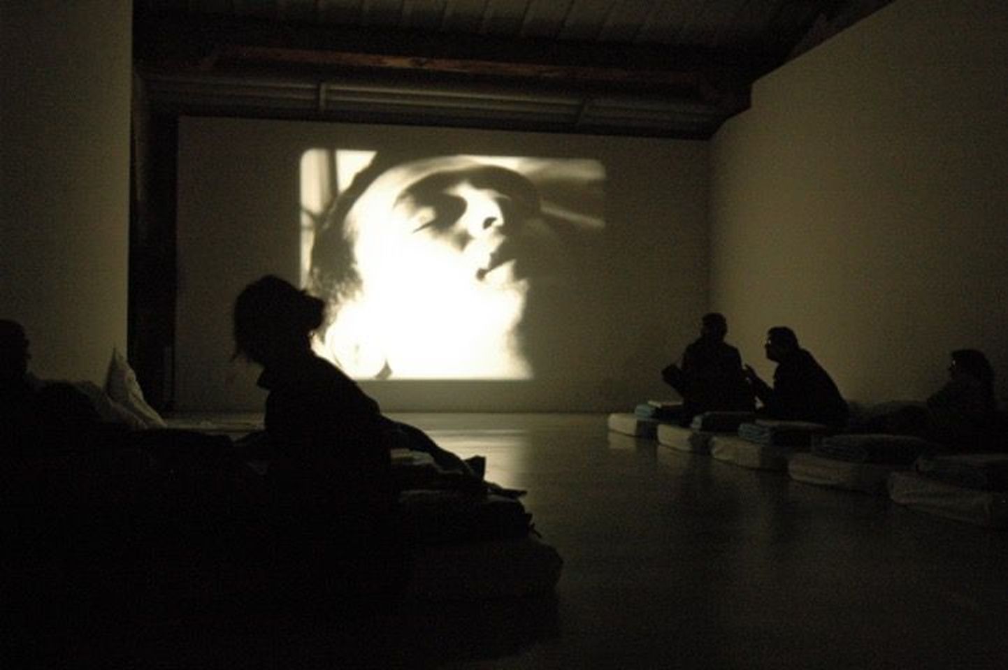 Umbes sedamoodi näeb välja Bik Van der Poli performants «Sleep With Me» («Maga koos minuga») laupäeva õhtul Y-galeriis: Andy Warholi kuuetunnine film «Sleep» silme ees, vaatajad magamiskottides ja teki all.