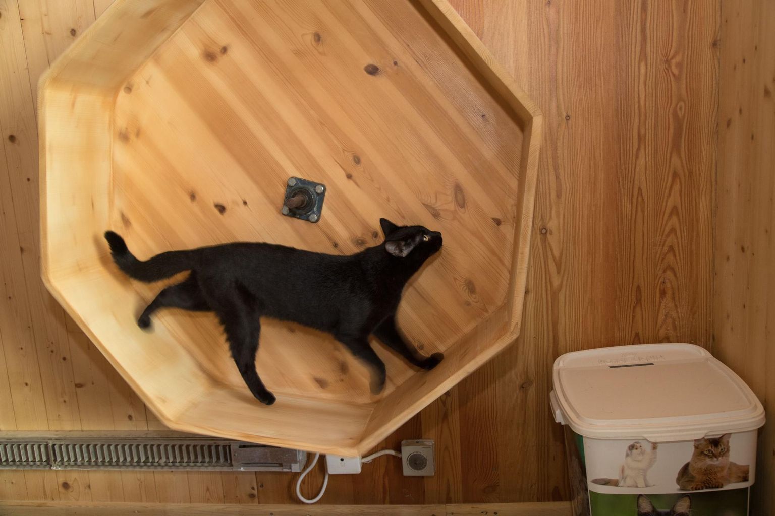 Musta kassi kuul on uue kodu leidnud pea 30 kassi.
