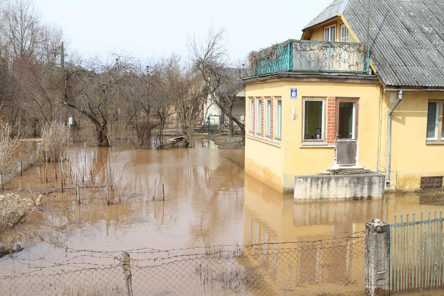 Raksta foto