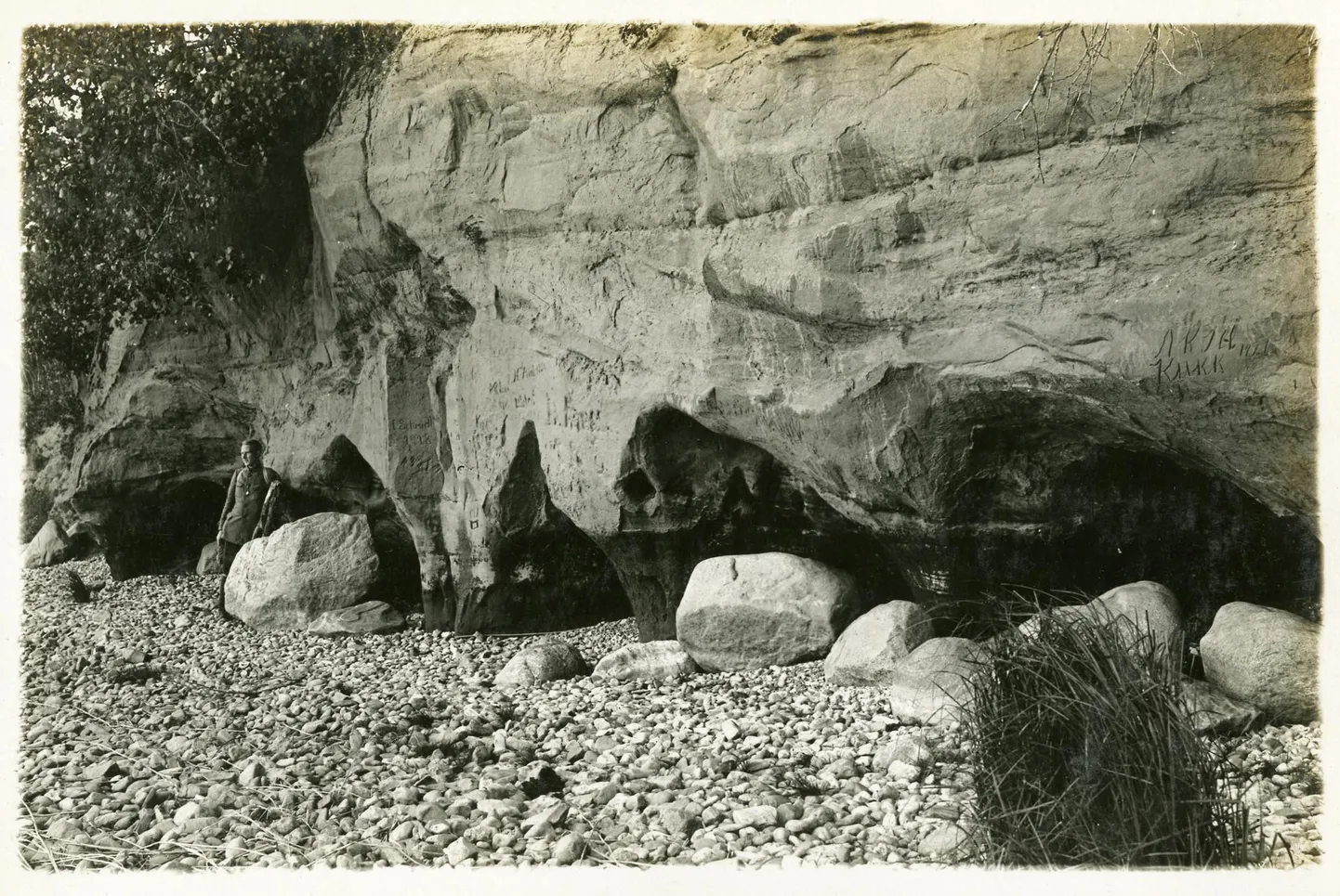 Kuldrannake – Tamme paljand.