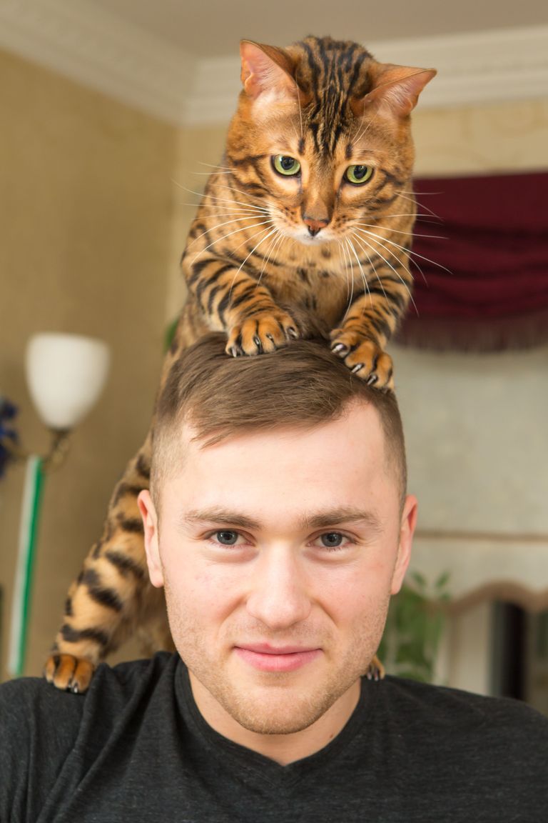 Marek Tšernjavski koos kass Müstikuga