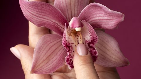 AJALOOLINE HETK ⟩ Teadlased kaardistasid naise kõige salapärasema elundi