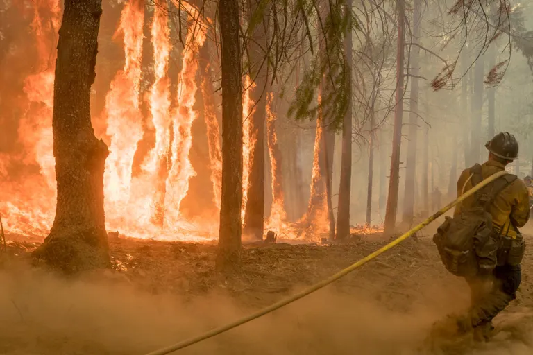 California osariik võitleb nädalaid ulatuslike metsatulekahjudega.