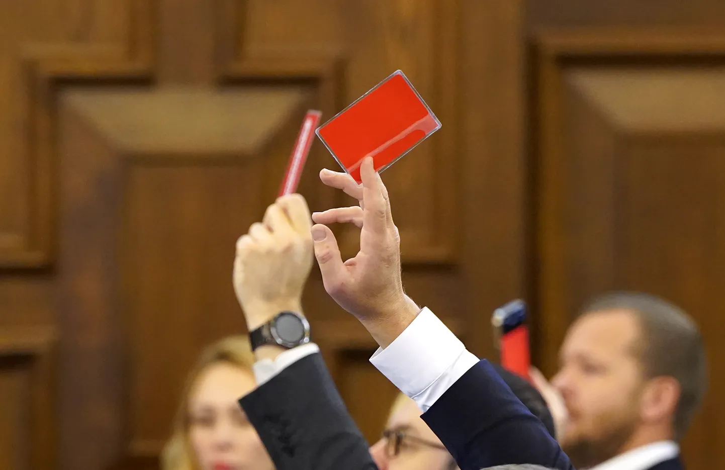 Raksta foto