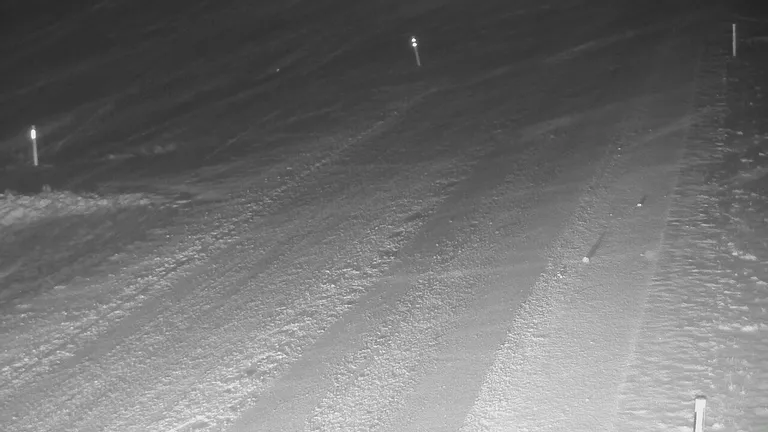 Ünnaste teekaamera pilt Pärnu–Rakvere–Sõmeru maanteelt.