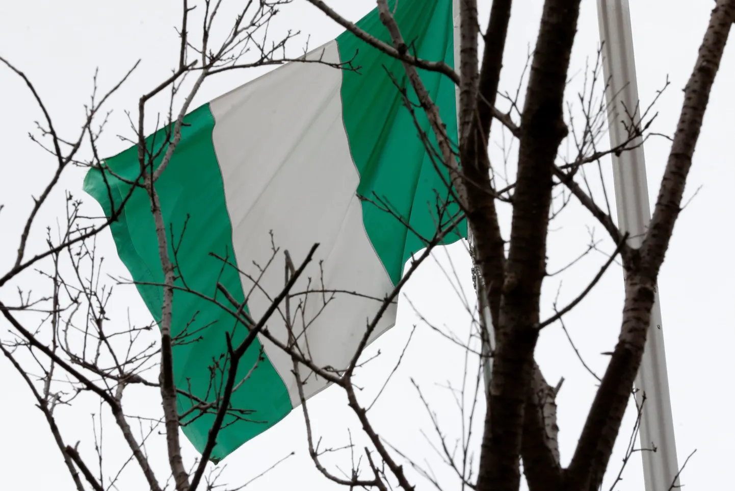 Nigērijas karogs