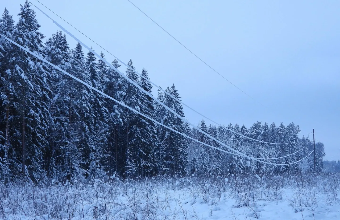 Lume ja jäite raskuse tõttu talvel allapoole vajunud elektriliinid.
