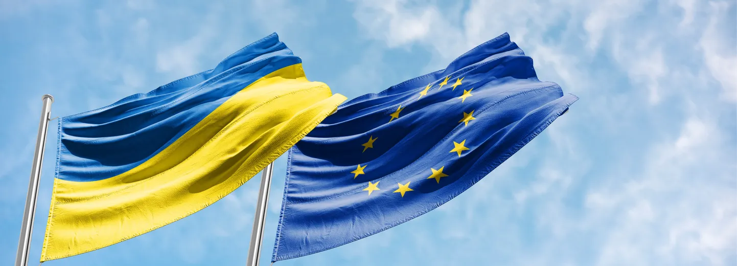 Флаги Украины и ЕС.