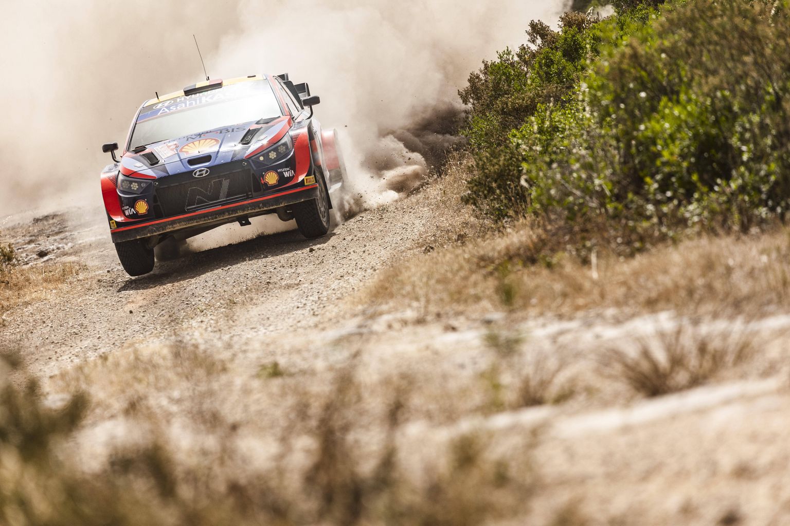 Thierry Neuville.