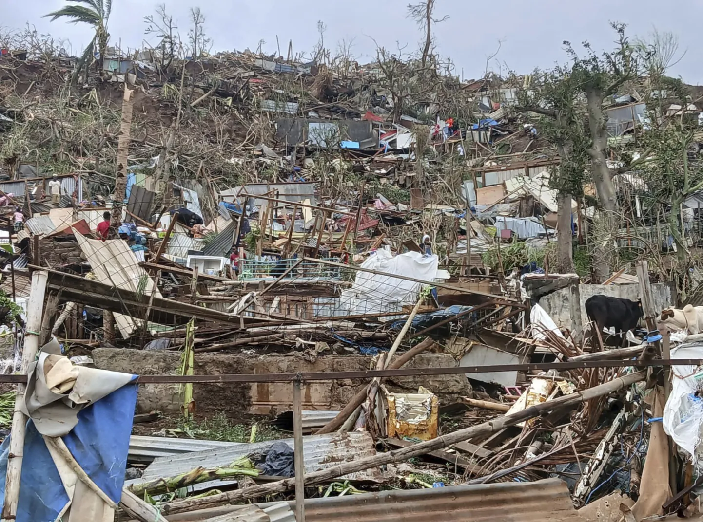 Tsüklon Chido purustused Prantsuse meretagusel Mayotte'i saarel.