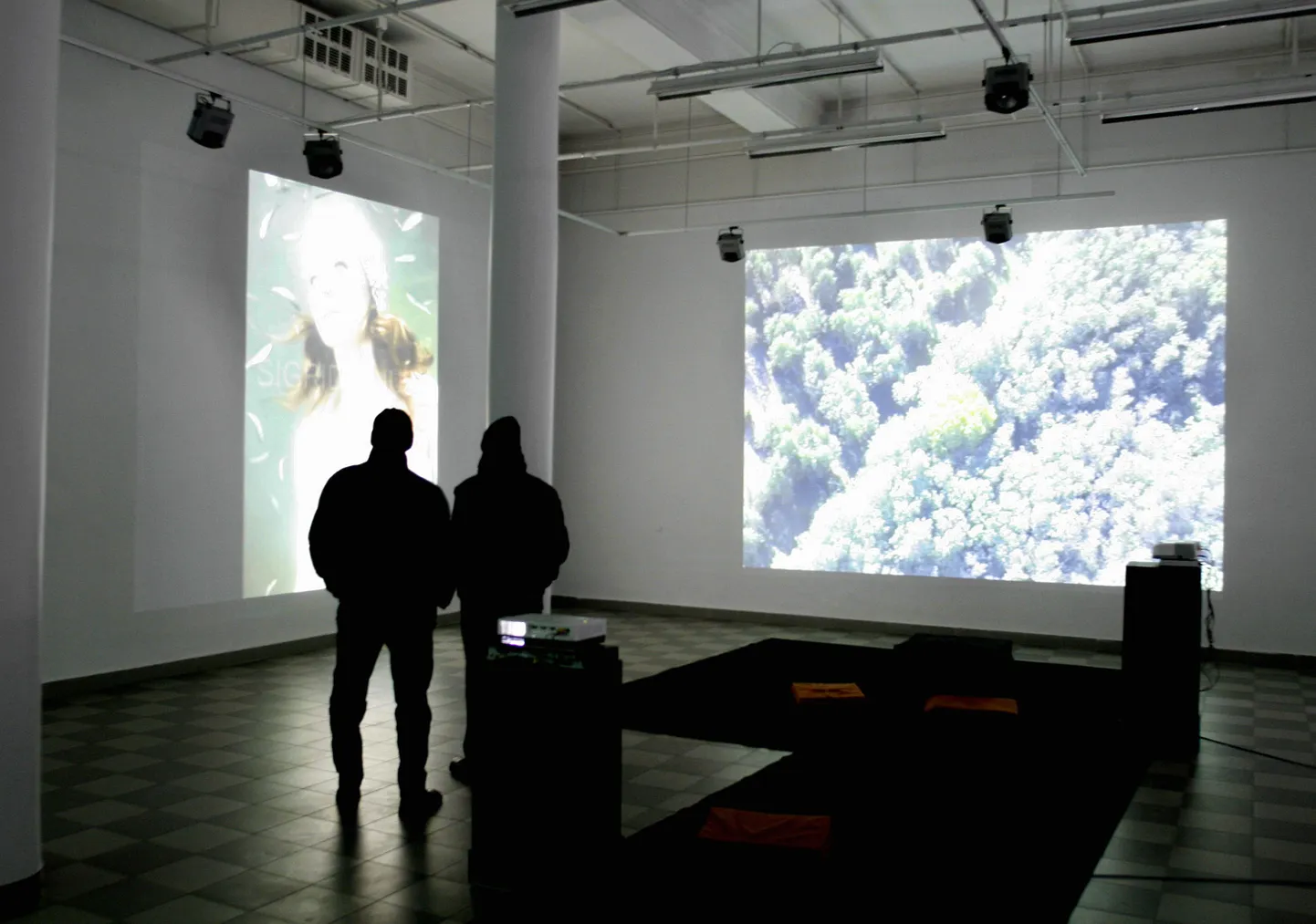 «Y-dimensiooni» fotod on kuvatud suurtele seinapindadele.