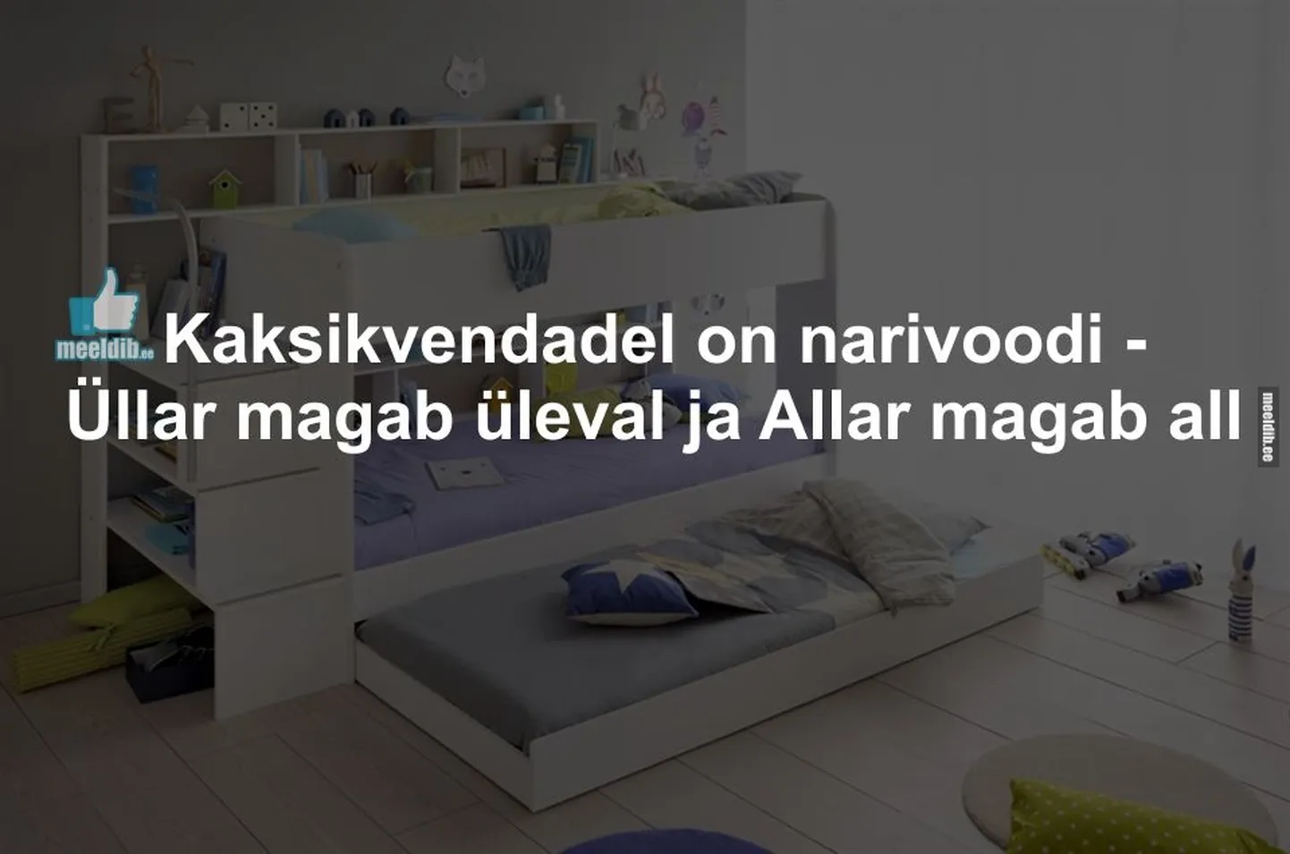 Artikli foto