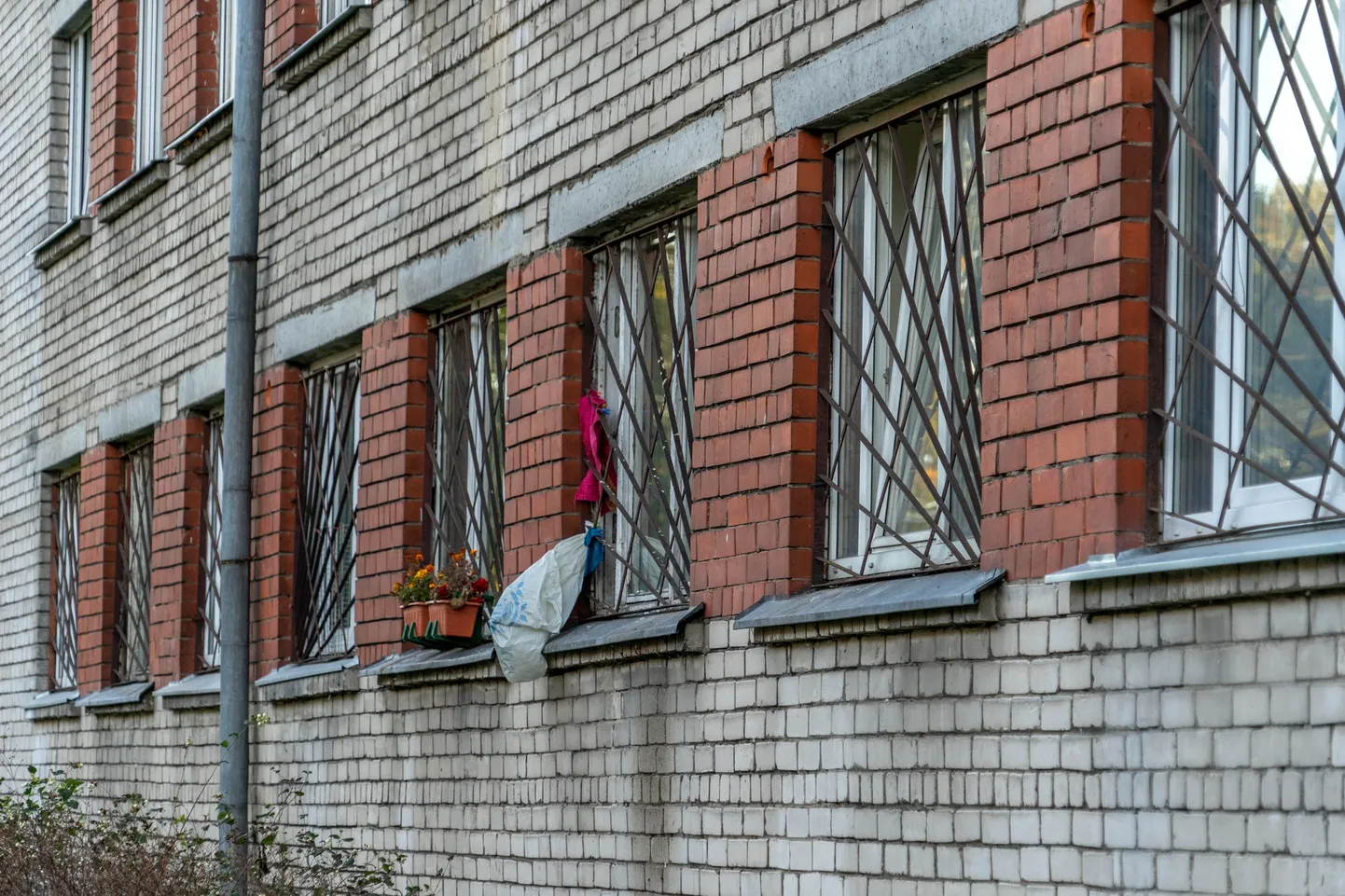 Фото статьи