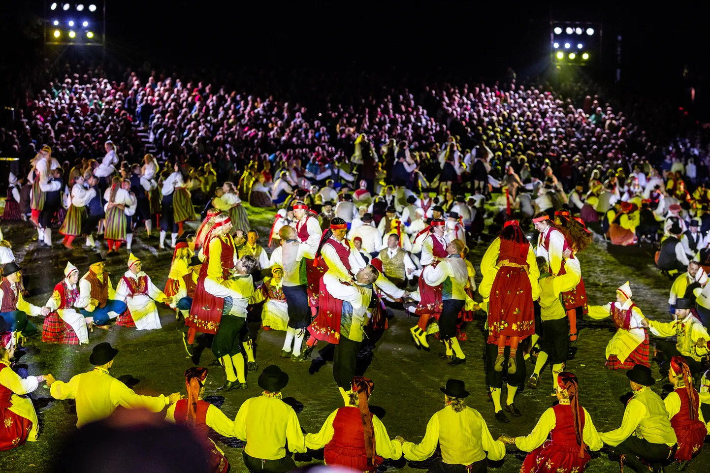 Artikli foto
