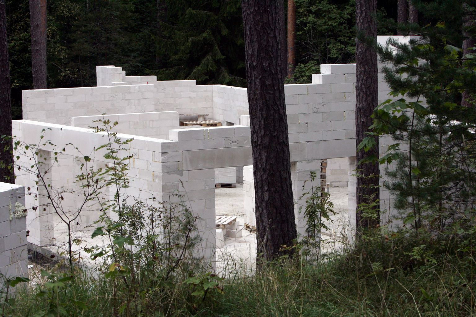 Kuhugi metsatukka loata ehitatud maja on suhteliselt raske avastada.