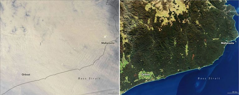 NASA kaksikpilt, millest paremal on Victoria ja New South Walesi piiriala 24. juulil 2019 ja vasakul 2. jaanuaril 2020.