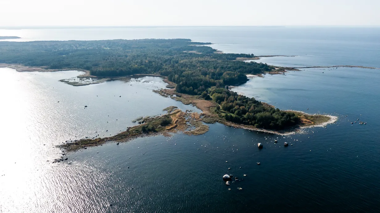 KORRALIK KASUM Räppar nublu pani oma saare müüki ning küsib ostuhinnast ...