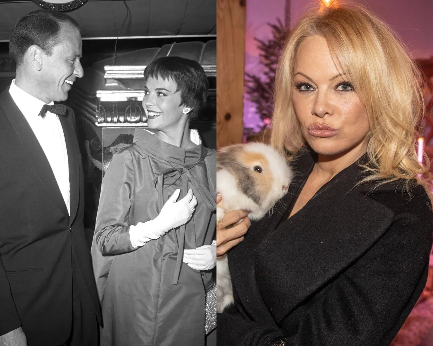 Frank Sinatra ja Pamela Anderson.