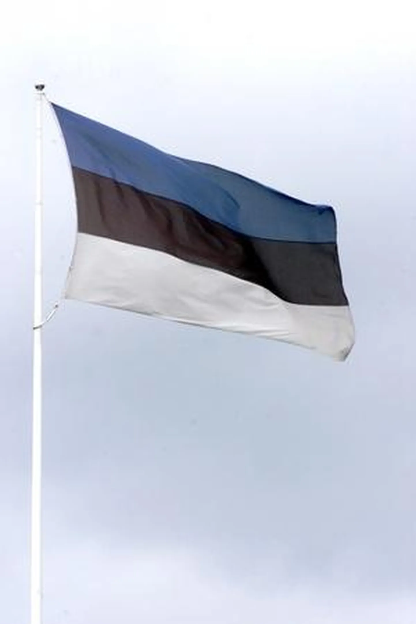 Eesti lipp.