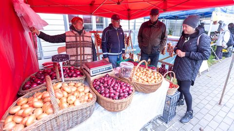 Paides tuleb taas suurejooneline Korilusfestival