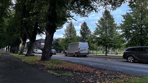 Politseinik lasi Pärnus teenistusrelvast maha teda sihtinud mehe