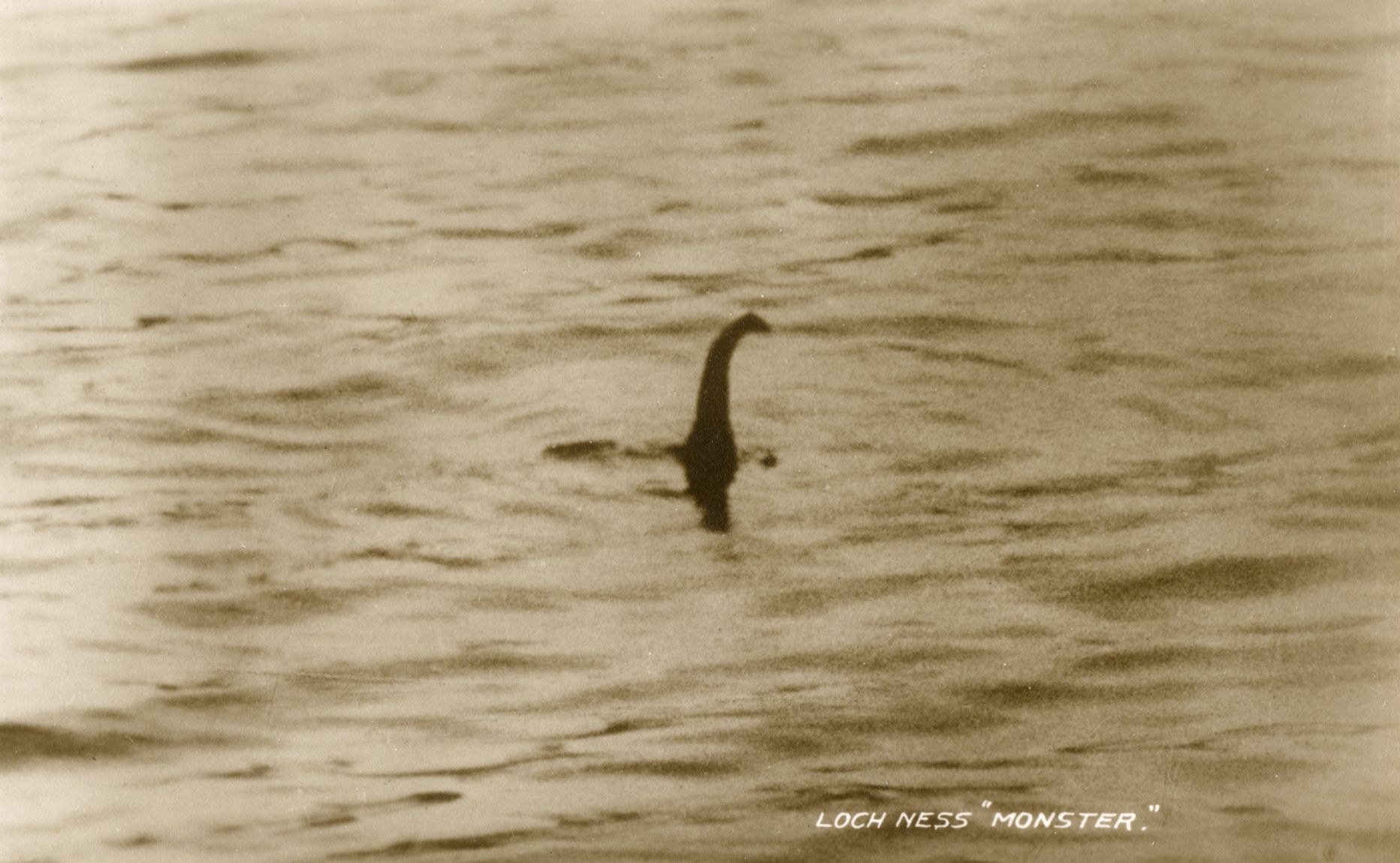 Koopia 1934. aasta koletisefotost. See foto ilmus siis mitmetes väljaannetes kui tõend Loch Nessi koletise kohta