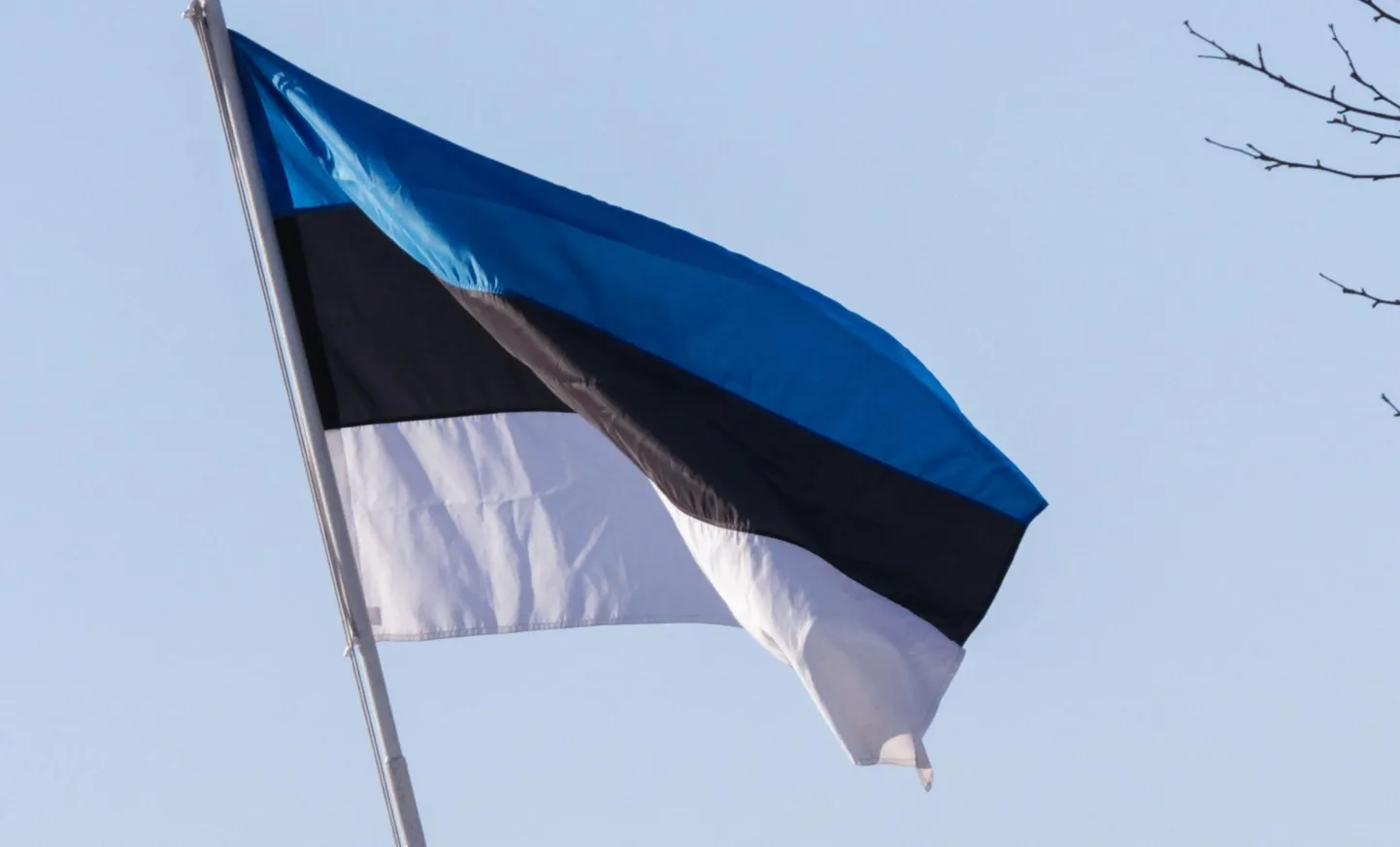 Emakeelepäeval heiskavad Eesti lipu kõik riigi- ja omavalitsusasutused ning avalik-õiguslikud juriidilised isikud. Eesti lippu on oodatud heiskama ka kõik teised.​