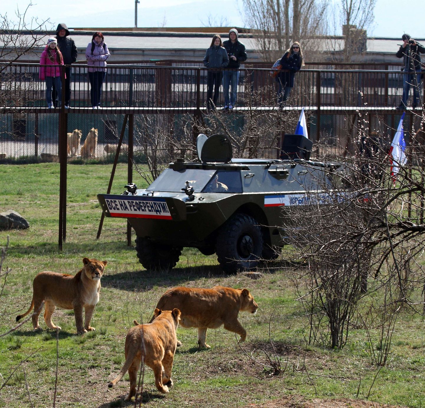 Ukraina loomaaedade loomad nälgivad?