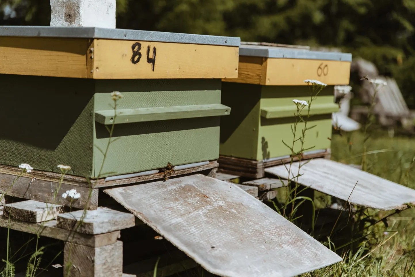 Pärnumaa meepäevade eestvedajad tahavad anda ülevaate siinsete mesinike tegemistest ja rõhutada, et mesi on toiduaine nagu pipar või ketšup ja mee kasutamise viise on palju.