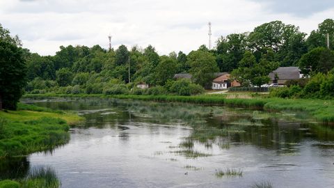 ГЛАВНОЕ ЗА 5 ИЮНЯ ⟩ Классификация гомофобов, ливни с грозами и ограничения движения в Риге