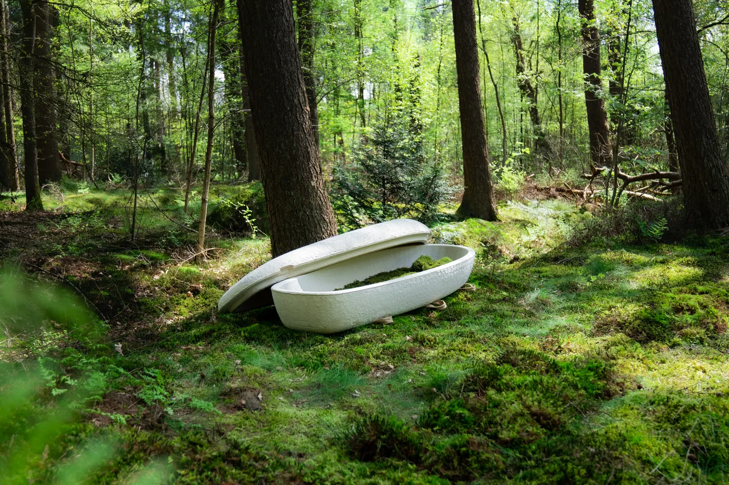 Hollandi ettevõtte ökokirst laguneb looduses traditsioonilisest puidust tunduvalt kiiremini