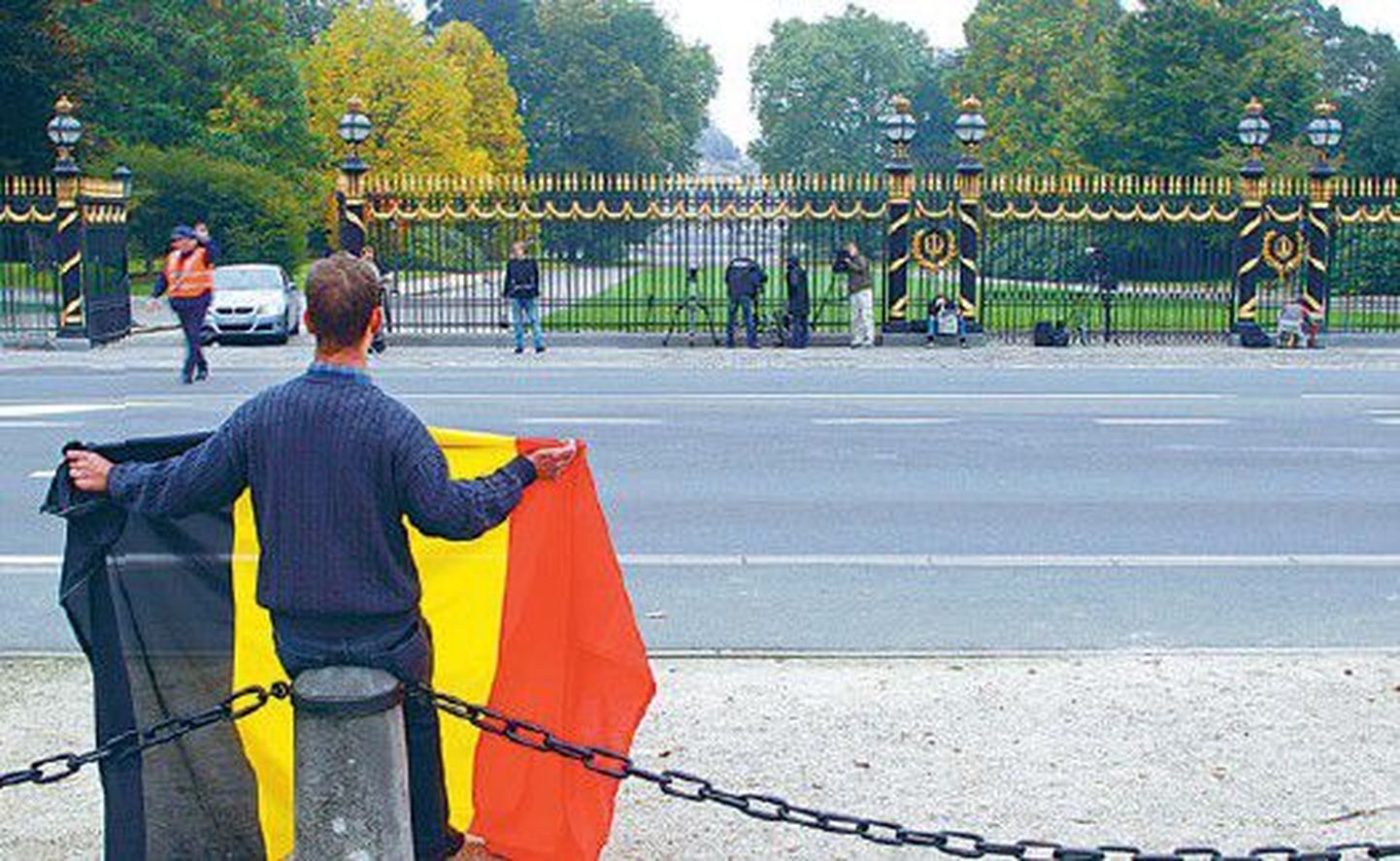 Мужчина, развернувший бельгийский триколор перед королевским дворцом, еще летом ждал действий от правительства, но оно до сих пор не сформировано.