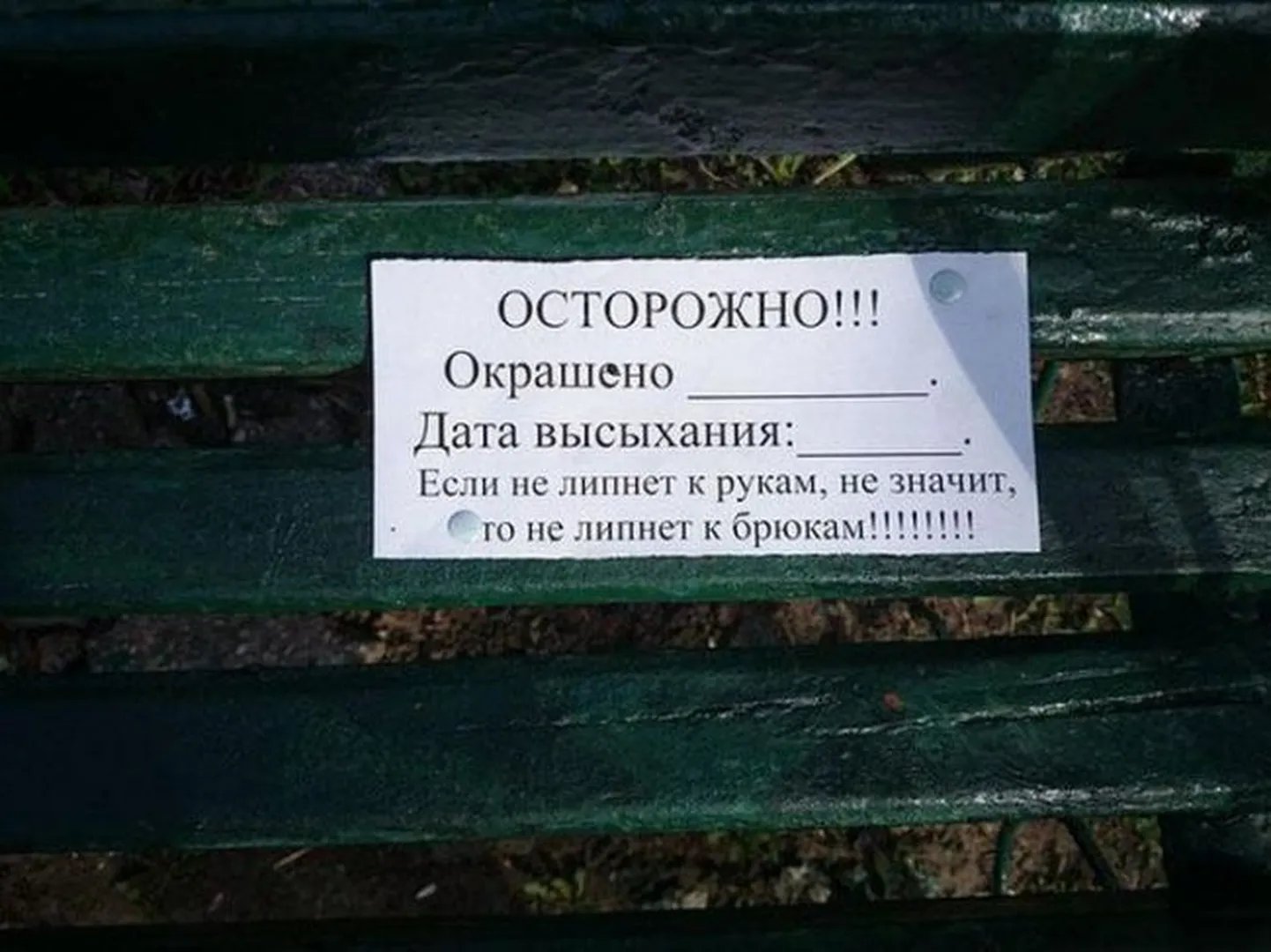 Фото статьи