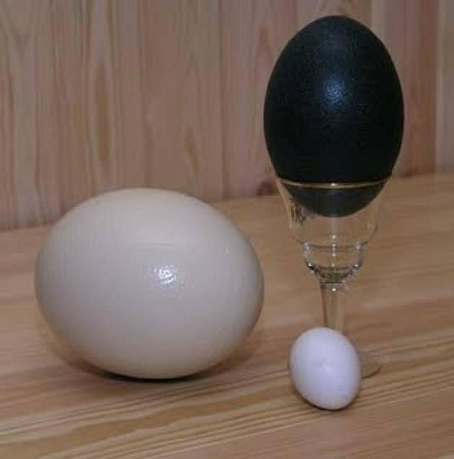 Jaanalinnu- ja emumunad on kanamunast palju kordi suuremad ning sobivad munadepühade ajal kodudesse elevust tooma väga hästi.