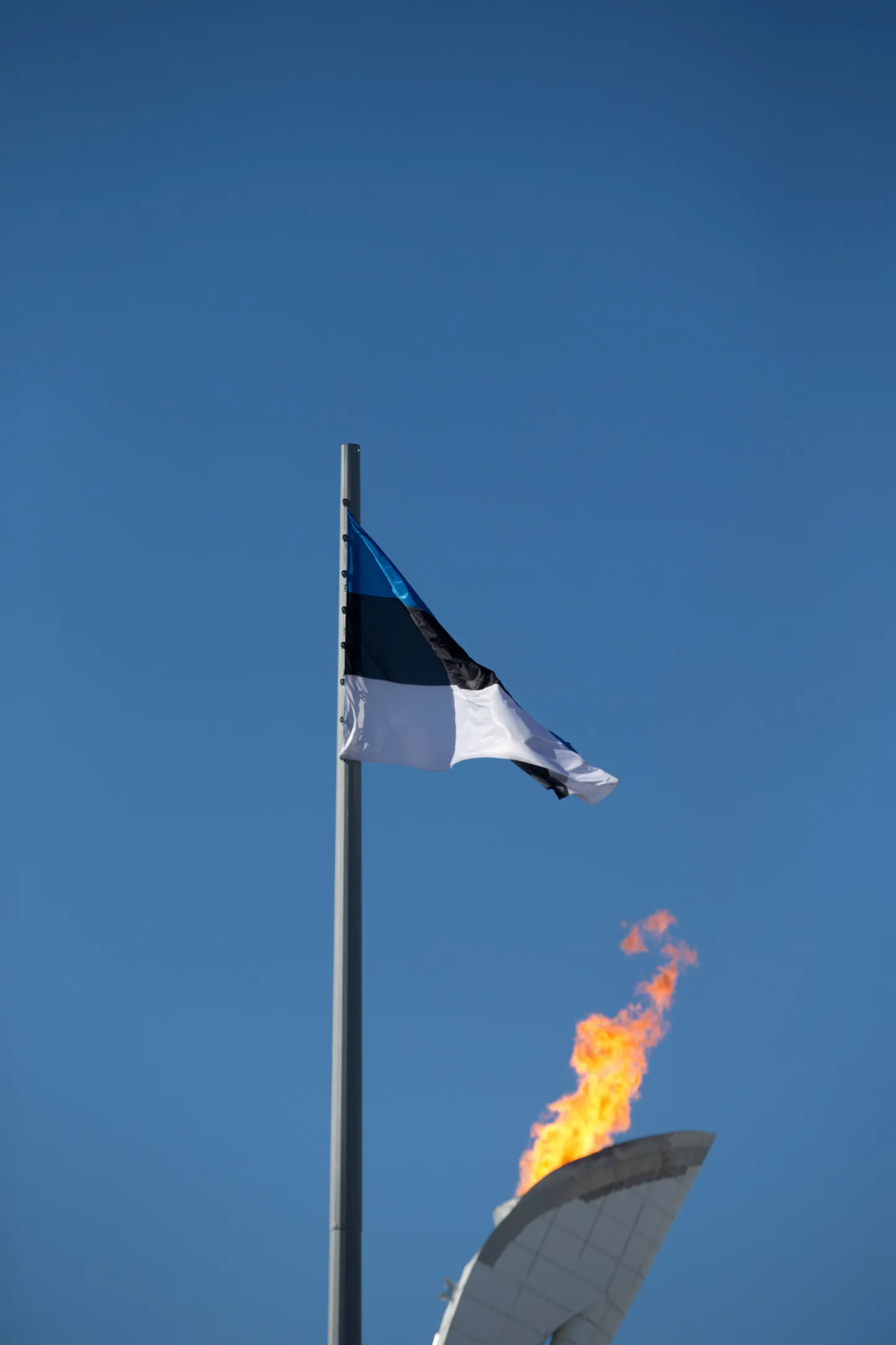 Eesti lipp