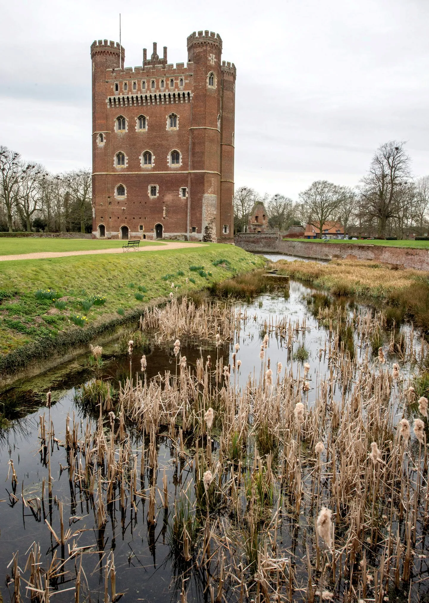 Briti pere leidis Lincolnshire'is Tattershalli kindluse juurest hülge, kes oli merest 32 kilomeetri kaugusel