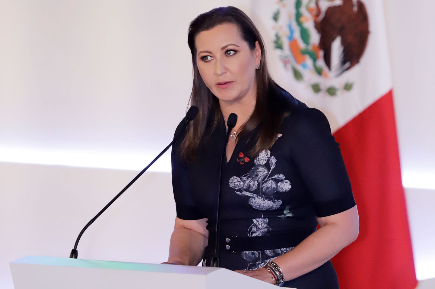 Lennuõnnetuses hukkunud Mehhiko Puebla osariigi kuberner Martha Erika Alonso.