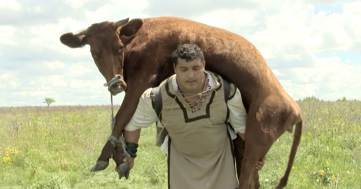 Мужчина бык и мужчина лошадь