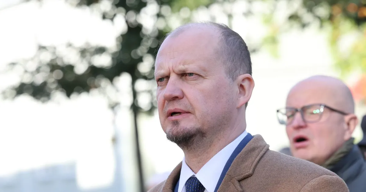 Anti Poolamets kandideerib eurovalimistel
