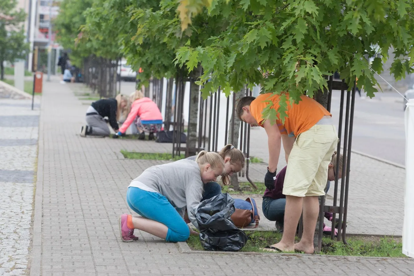 Vajalikud ettevalmistused töömalevate toimumiseks on küll tehtud, kuid arvestada tuleb riiklike piirangutega.