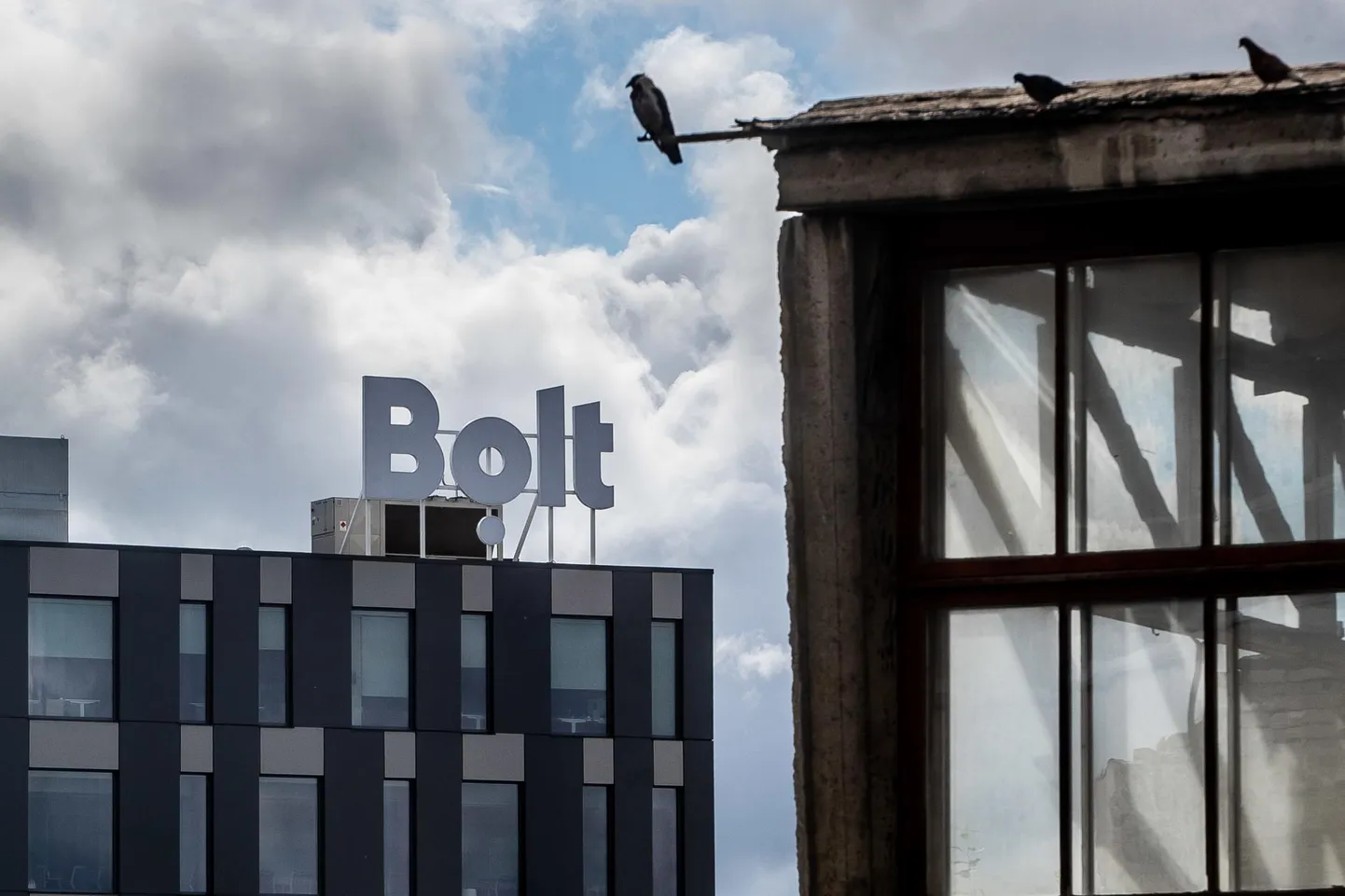 Bolt on üks suurimaid Eesti idusektori üks tööandjaid.
