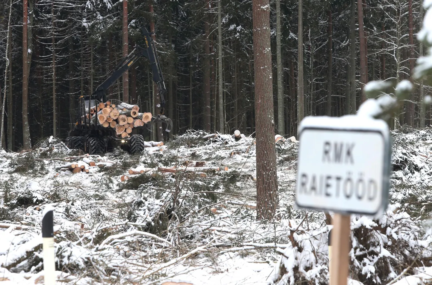 Metsaraie Kaagveres.