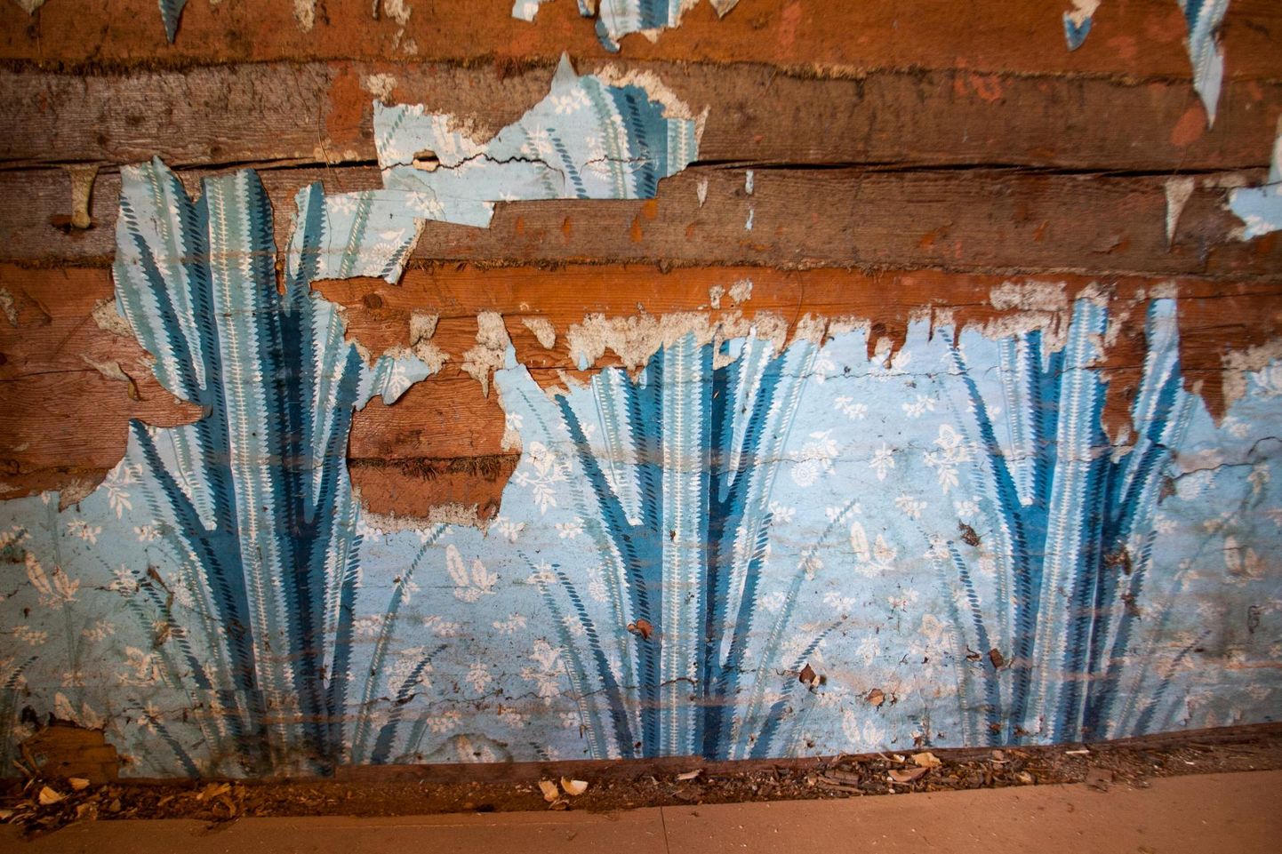 Loodi mőisa rekonstrueerimisel leiti peahoone mitme toa seintelt XVIII sajandi lőpust pärit pabertapeedid.