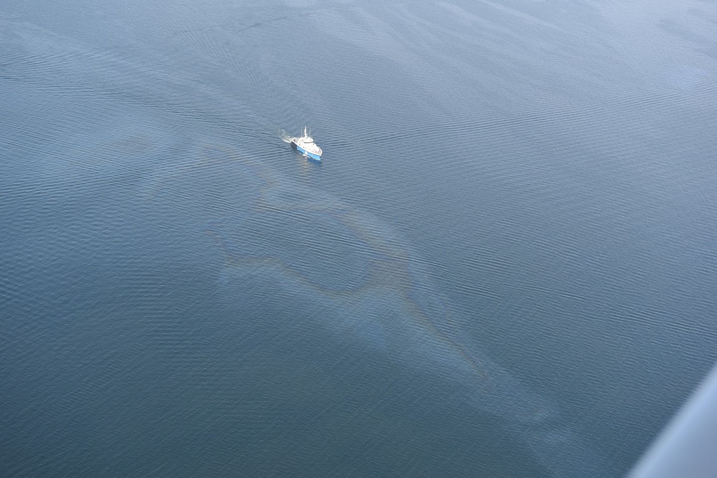 В Коплиском заливе обнаружено загрязнение воды.